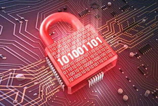 天啦嚕！5億用戶隱私數據泄漏事件敲響警鐘，網絡與信息安全軟件開發何去何從？